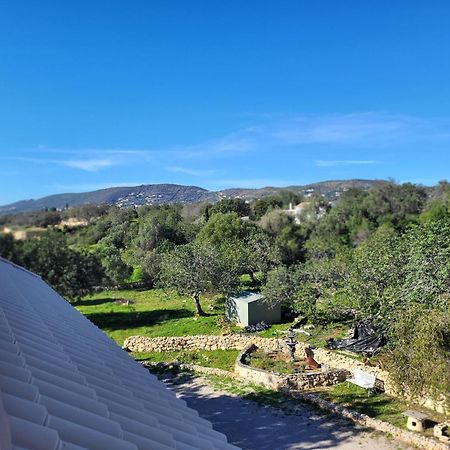 Vista Magica B&B Santa Bárbara de Nexe Kültér fotó